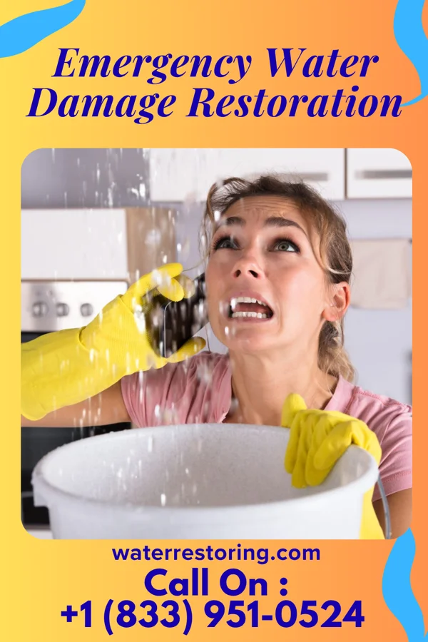 Emergency Water Damage Restoration in Bryson, TX